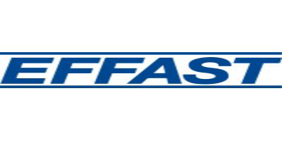Effast logo