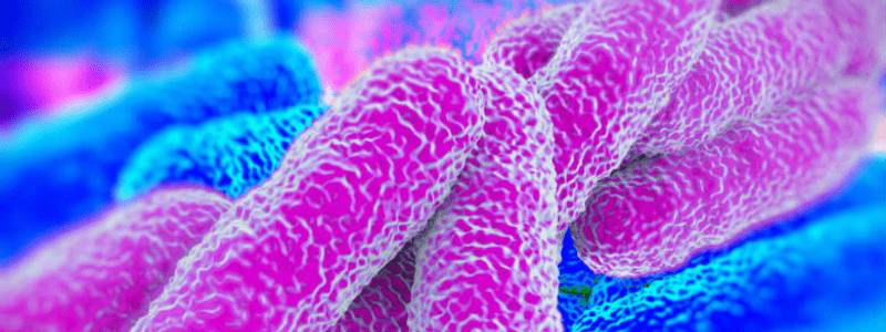 legionellapreventie