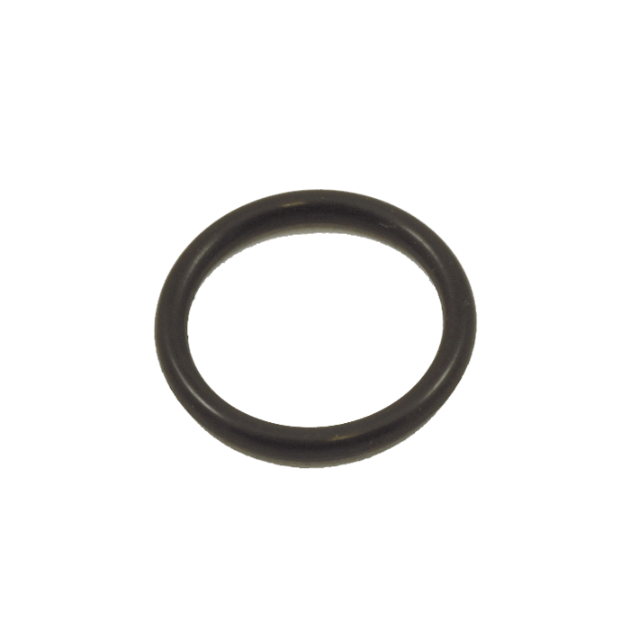 Intergas O-ring
