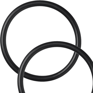 305483 XP C-st/SS O-ring  EPDM 76,1 bla.