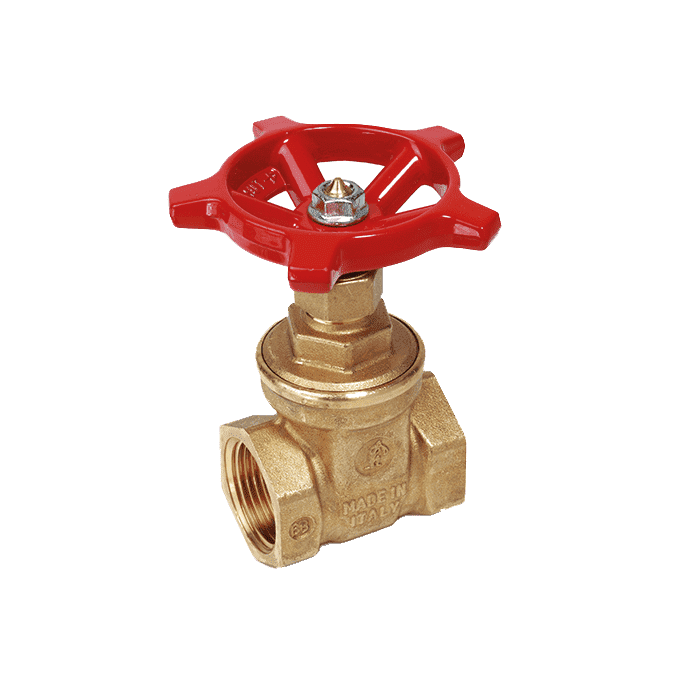 Giacomini gate valve R55
