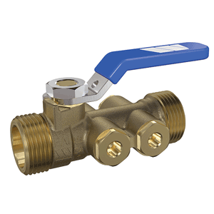 backflow preventer with drain valve EA Watts, 2" 2x m.thr., brass