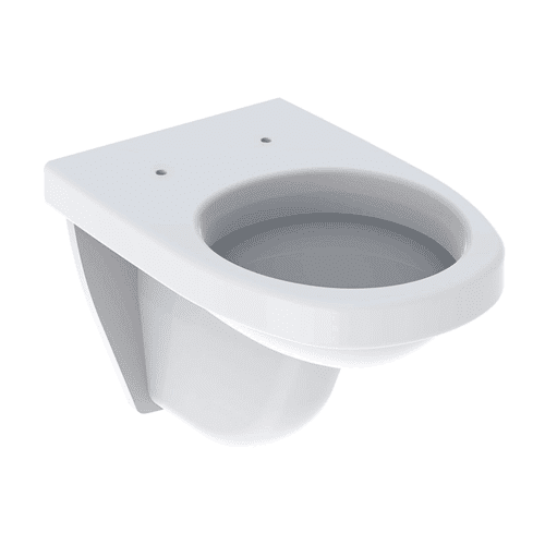 Geberit 300 Basic wall-hung toilet 22 white