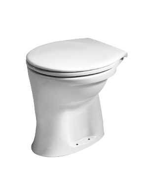 Upright toilet