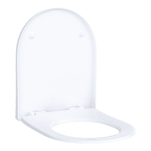 616199 GEB Acanto toilet seat. TF