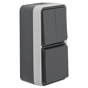 Double combination wall-mounted switch with hinged lid, grey