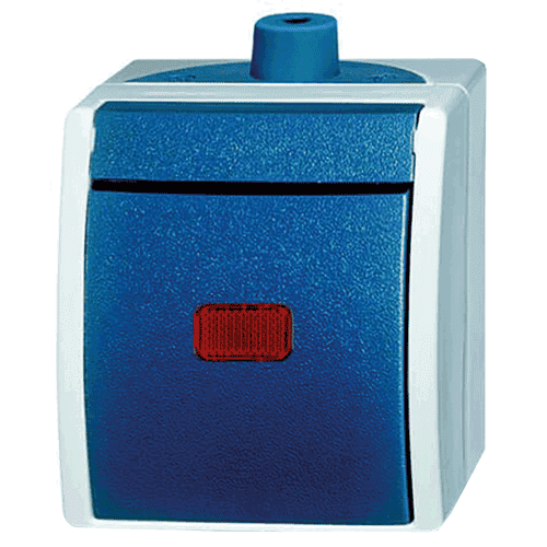 Busch-Jaeger Ocean surface-mounted two-way control switch + bulb, IP44