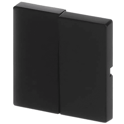 Busch-Jaeger Future control rocker two-way switch