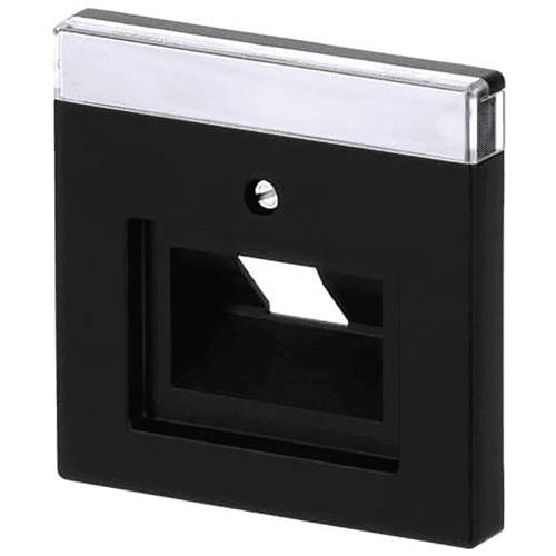 Busch-Jaeger Future central plate UAE data socket