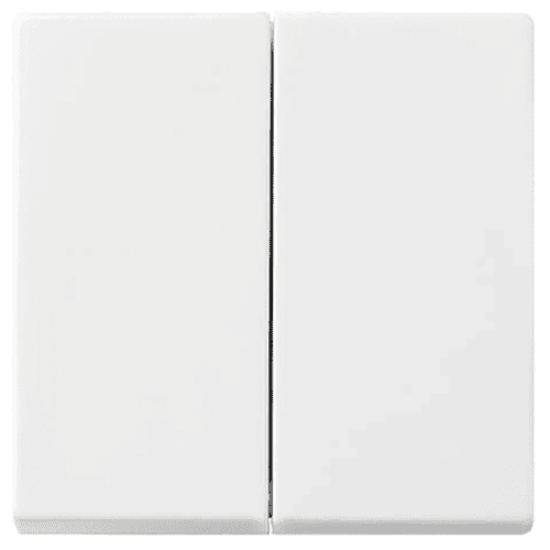 Busch-Jaeger Balance control rocker series switch