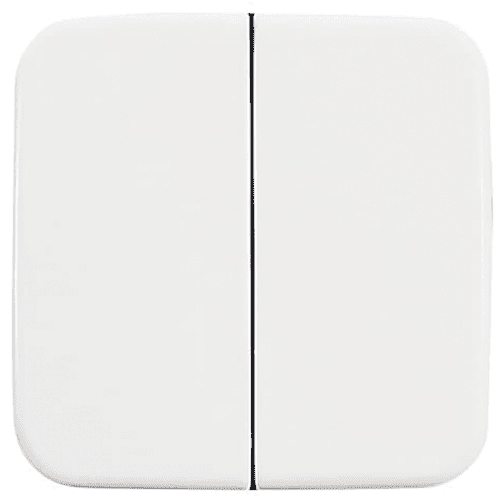 Busch-Jaeger Reflex control rocker series switch