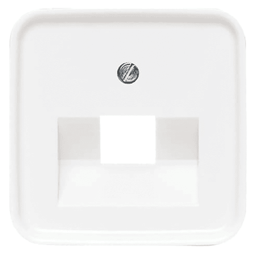 Busch-Jaeger Balance central plate UAE data socket