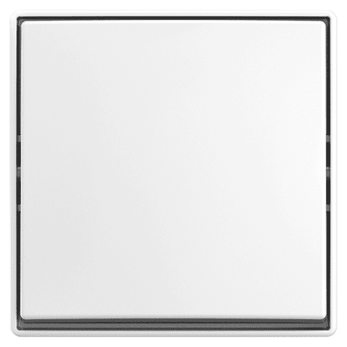 Busch-Jaeger AP opbouw serie schakelaar met montageplaat 2609