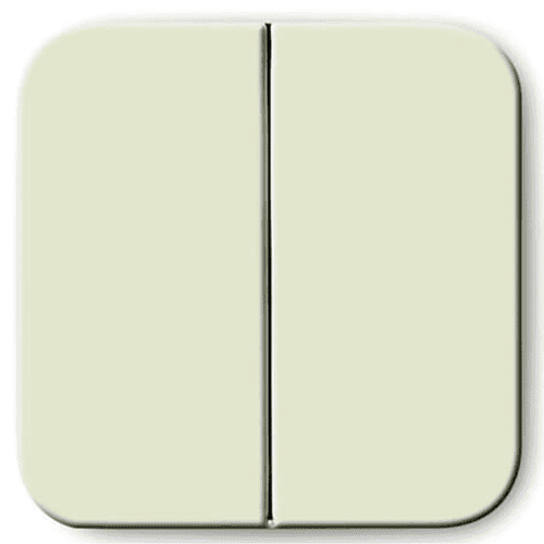 Busch-Jaeger SI control rocker series switch