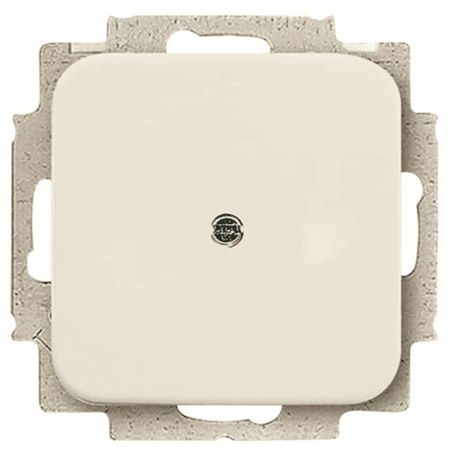 Busch-Jaeger SI blind plate, beige