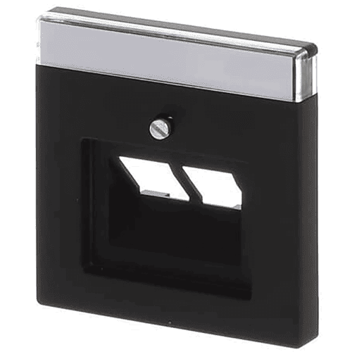 981624 BJ Future cov.plate data 2xRJ45 mbl