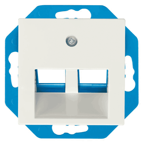 ION Industries centraalplaat Modular Jack 30°, 2-voudig V1/J1