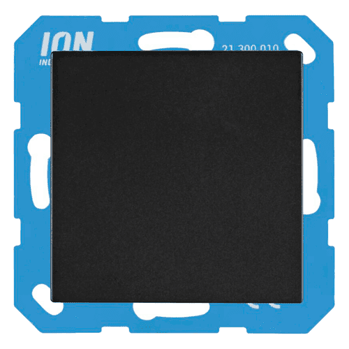 982239 ION blindplaat V1/J1 mat zwart